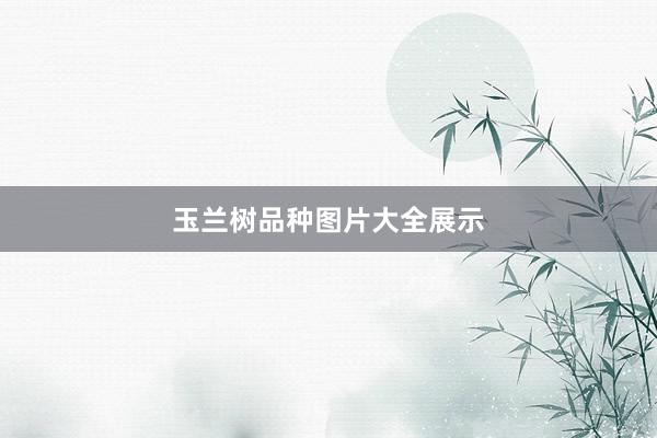 玉兰树品种图片大全展示