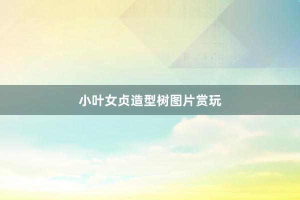 小叶女贞造型树图片赏玩