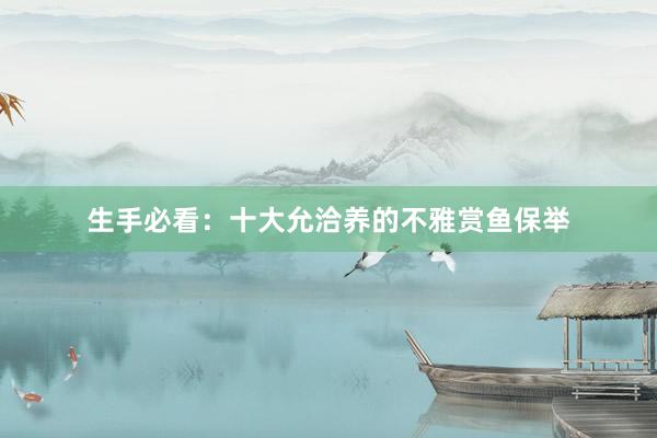 生手必看：十大允洽养的不雅赏鱼保举